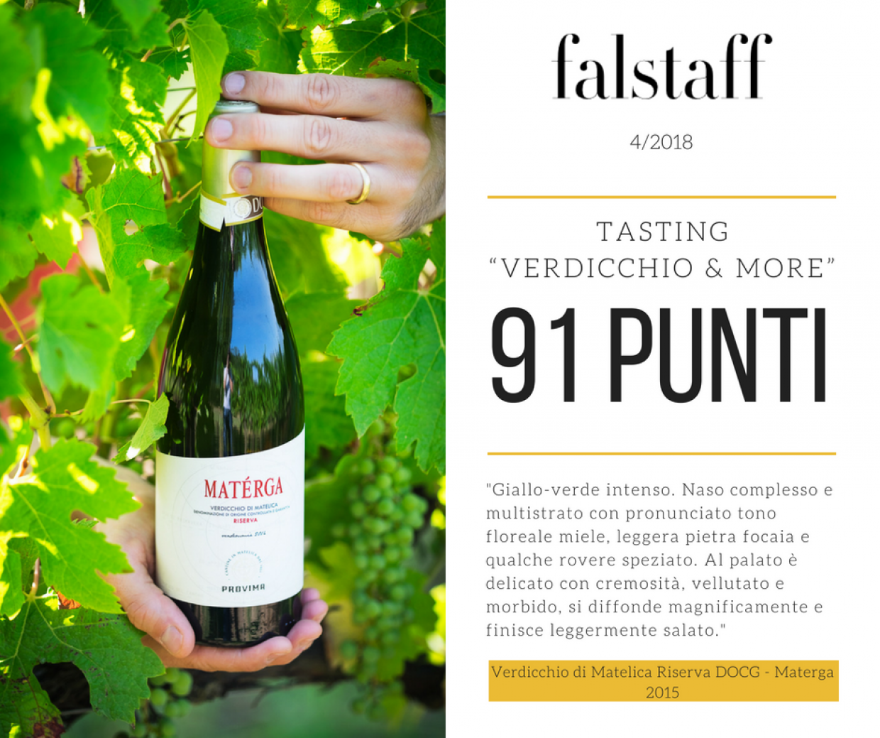 Verdicchio&More: 91 points for the Materga 2015 at the Falstaff tasting
